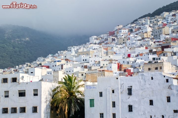 Immagine La grande e bianca Medina di Tetouan, uno dei Patrimoni UNESCO ell'Africa, nel Marocco del nord - © Boris Stroujko / Shutterstock.com