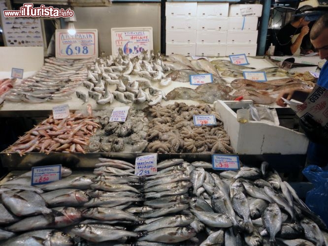 Immagine Tra i banchi del mercato del pesce di Atene