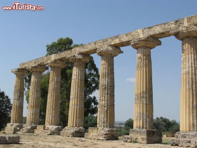 Immagine Metaponto, Basilicata: le rovine delle Tavole Palatine 