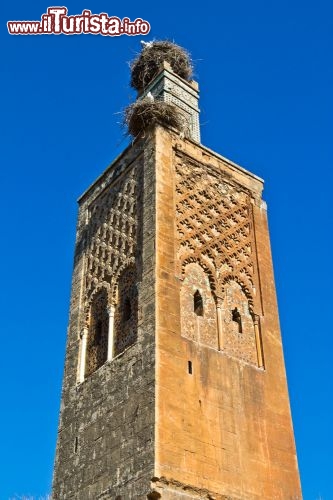 Immagine Minareto di Chellah: si trova nelle rovine dell'antica necropoli di Chellah, una delle prime città fondate nella regione di Rabat. Si trova a poco più di mezz'ora a piedi dal centro della capitale e vale decisamente la pena di visitarla - © OPIS Zagreb / Shutterstock.com