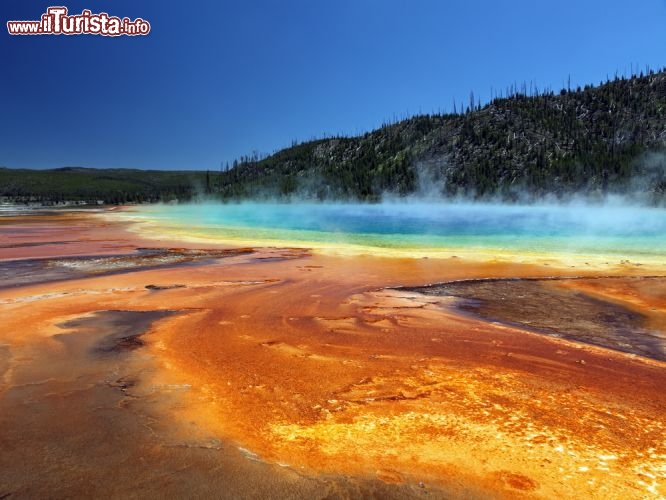 Immagine Minerali e batteri colorano le sorgenti minerali del Parco Naziale di Yellowstone - © nikitsin.smugmug.com / Shutterstock.com