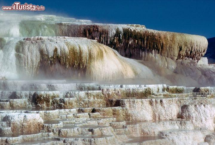 Immagine Il Minerva Terrace si trova nella zona nord-occidentale dello Yellowstone national Park, in Wyoming, nella zona di Mammoth Hot Spring. Si tratta di una cascata di travertino, depositata da delle sorgenti ricche di minerali. un po' quello che succede a Pamukkale in Turchia, nel famoso "Castello di Cotone" - © julius fekete/ Shutterstock.com 