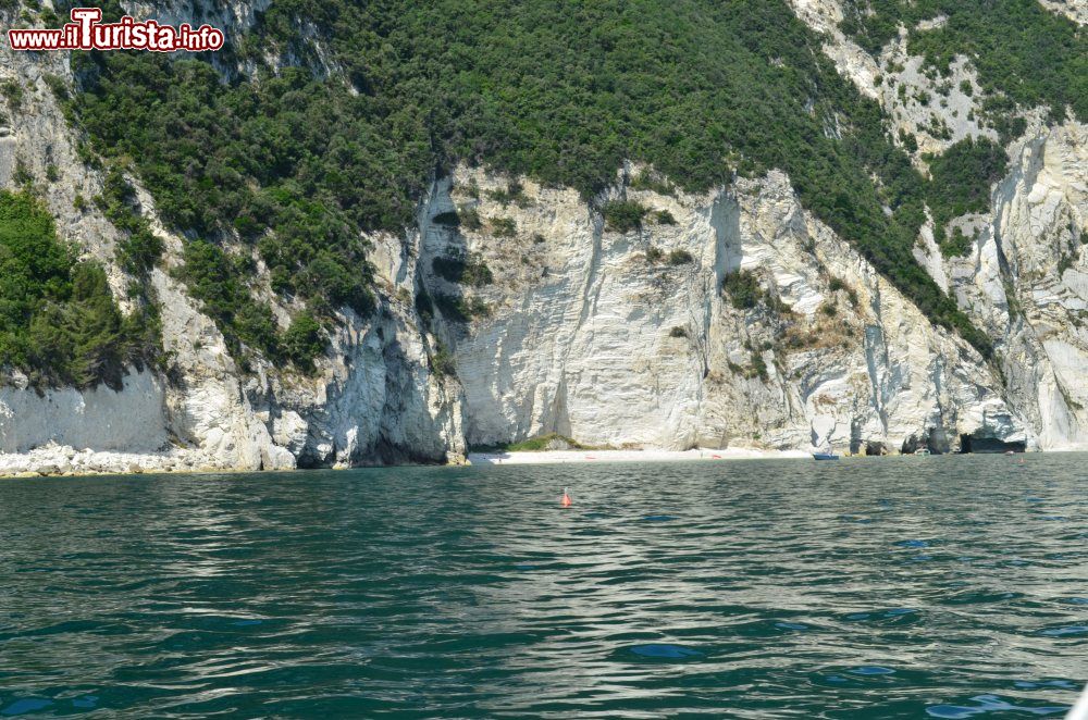 Immagine Mini crociera sulla riviera del Conero nelle Marche