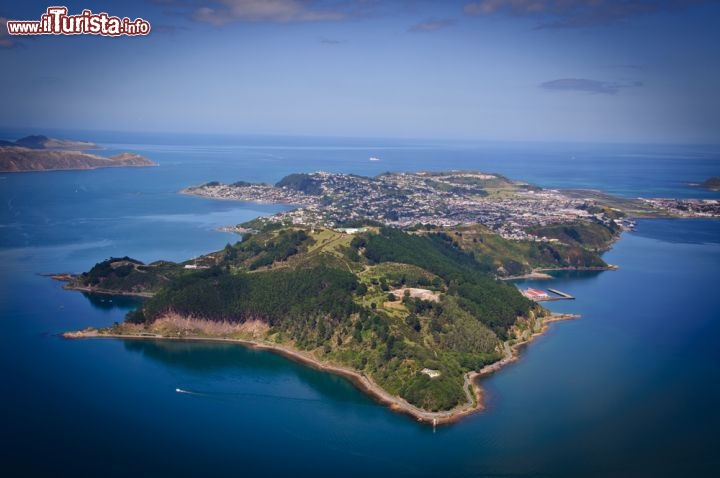 Immagine La penisola di Miramar in Nuova Zelanda, nella parte meridionale dell'Isola del Nord, accanto alla capitale Wellington. Il nome spagnolo significa "vista mare", e in effetti si allunga sul Porto di Wellington a nord e sullo Stretto di Cook e l'Oceano Pacifico a sud. E' altamente urbanizzata ed è sede del Wellington Airport, ma comprende paesaggi selvaggi e coste sabbiose che si alternano alle scogliere - © Dave Greenberg / Shutterstock.com