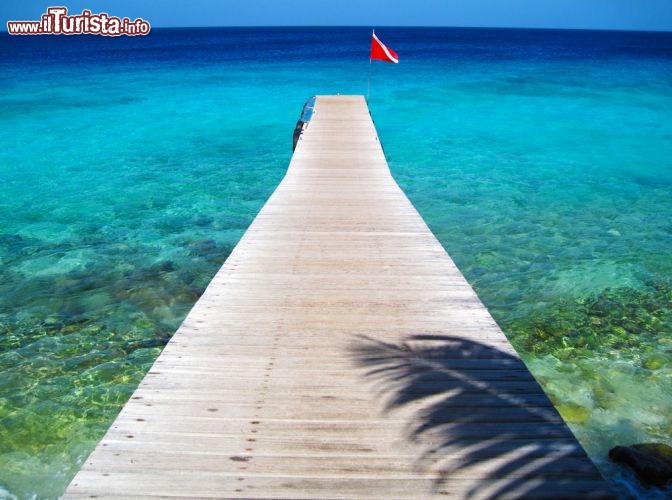 Immagine Molo in legno per l'ingresso nella laguna di Curacao, ex Antille Olandesi - © BioLife Pics / Shutterstock.com