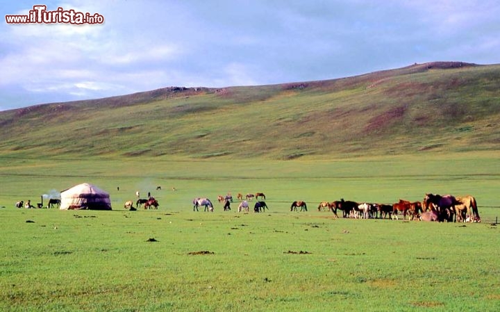 Immagine Mongolia yurtagher e cavalli - Foto di Giulio Badini / I Viaggi di Maurizio Levi