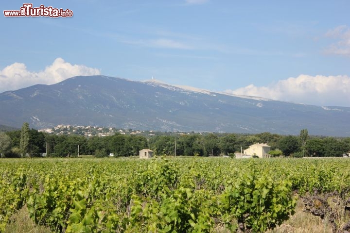 Immagine Il Mont Ventoux, una delle montagne mitiche del Tour de France, fotografato dalle campagne intorno a Carpentras, la città provenzale della Francia - © Yoann MORIN / Shutterstock.com