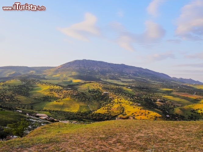 Immagine Montagne del medio Atlante, regione di  Ifrane in Marocco - © Karol Kozlowski / Shutterstock.com