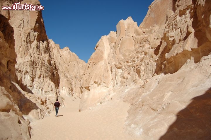 Immagine Le aride montagne del Sinai nei dintorni di Nuweiba lungo le coste del Mar Rosso nel golfo di Aqaba - © Evgeniapp / Shutterstock.com