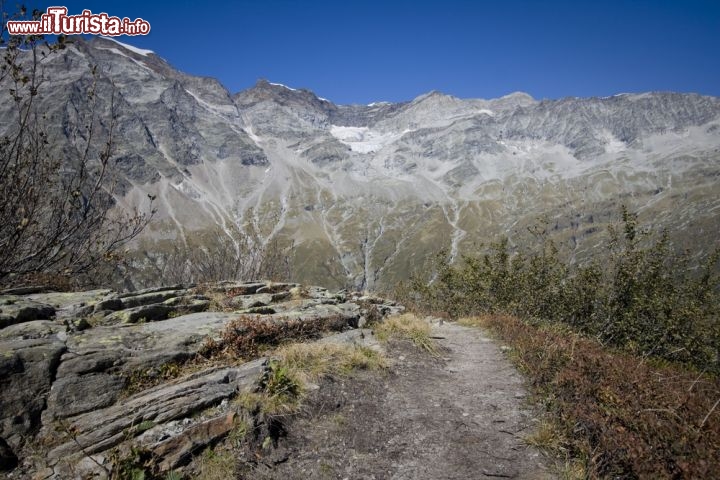 Immagine Montagne e sentiero alpino nei pressi di Macugnaga in Piemonte - © chiakto / Shutterstock.com