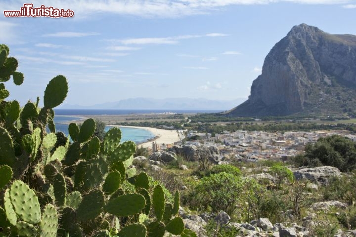 Immagine Monte Monaco e spiaggia a San Vito lo Capo, in Sicilia. In primo piano, fichi d'india  - © LCF / Shutterstock.com