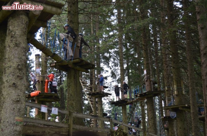 Immagine Monte Pilatus Rope Park, Svizzera