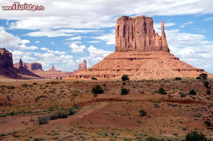 Immagine Monument Valley, l'Elephant Butte, Arizona  (USA). L'Elephant Butte è un imponente monumento così chiamato perchè si dice che ricordi la forma questo grande mammifero - Foto di Giulio Badini / Adenium Soluzioni di viaggio