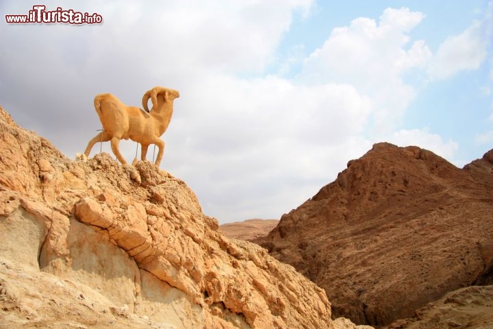 Immagine Monumento alla capra di montagna: si troviamo presso l'oasi di Chebika, nella regione di Tozeur in Tunisia - © Istomina Olena / Shutterstock.com