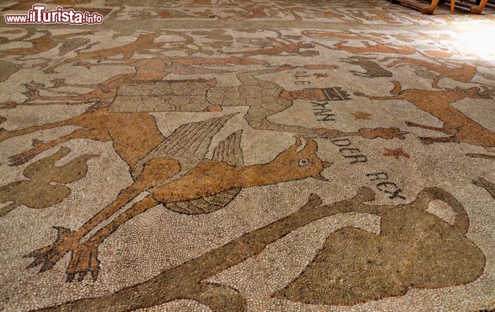 Immagine Mosaico pavimentale Cattedrale di Otranto Albero della Vita Puglia