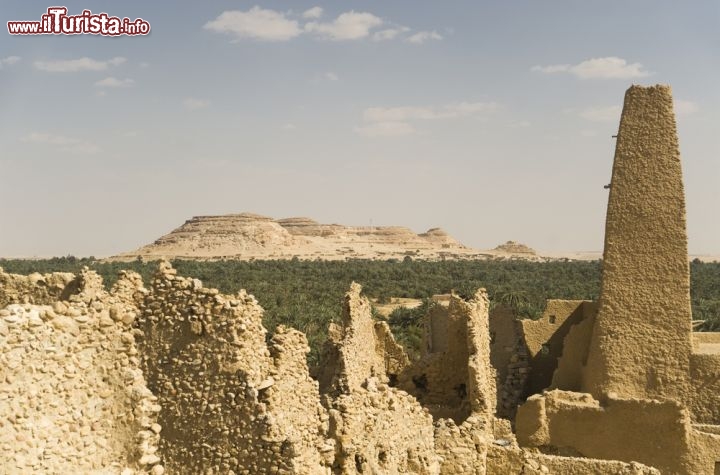 Immagine I resti di una moschea vicino al Tempio dell'oracolo di Siwa in Egitto - © Anthon Jackson / Shutterstock.com