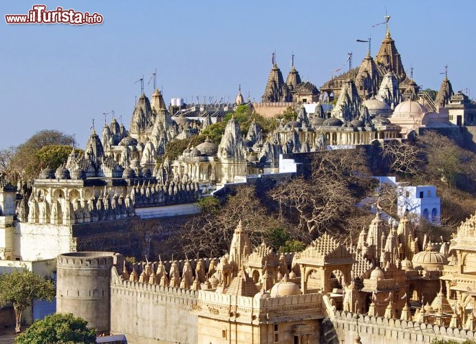 Immagine Mount Shatrunjaya Palitana Gujarat India - © Malcolm Chapman / Shutterstock.com