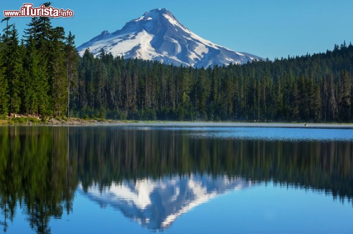 Immagine Il monte Hood in Oregon (USA). Questo stratovulcano dormiente fa parte della catena delle Cascate e si trova nel nord dell'Oregon. La sua ultima importante eruzione risale al 1790.  161994620