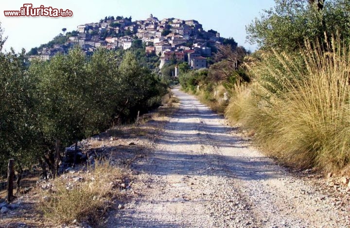 Immagine Mulattiera in direzione del borgo di Castro dei Volsci vicino a Frosinone (Lazio) - © www.comune.castrodeivolsci.fr.it/