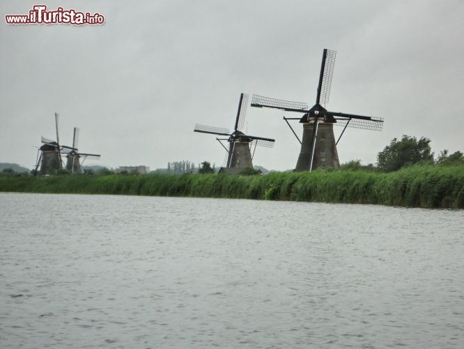 Immagine Mulini a vento in Olanda nei pressi di Kinderdijk.