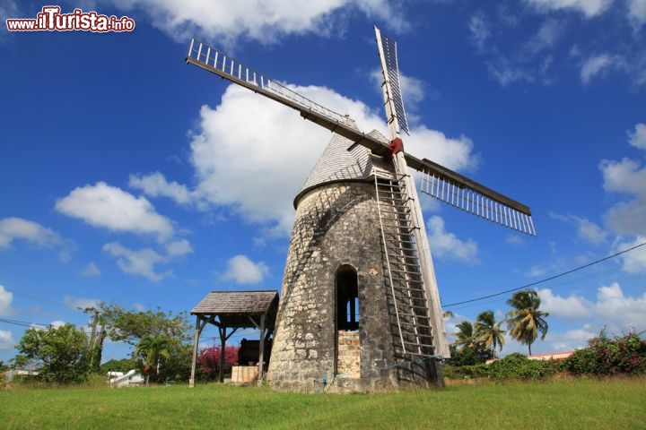 Immagine Mulino a vento a Marie Gallante, l'isola caraibica che fa parte del territorio di Guadalupa, nelle Antille - © Olga S. Andreeva / Shutterstock.com