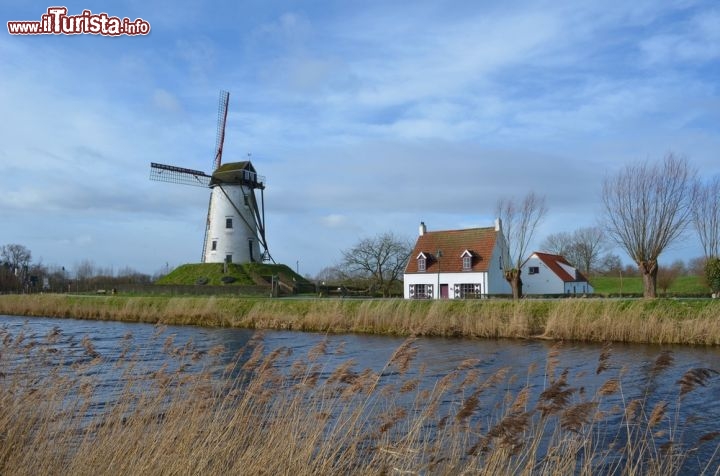 Immagine Mulino a vento a Damme, Bruges - Uscendo dal centro di Bruges in direzione nord est si raggiunge Damme, pittoresca meta dove in un parco fanno bella mostra di sé mulini a vento che si stagliano a fianco di un canale. Una di queste costruzioni risalente al XVIII° secolo è ancora in funzione e può essere visitata al suo interno © pavel dudek / Shutterstock.com