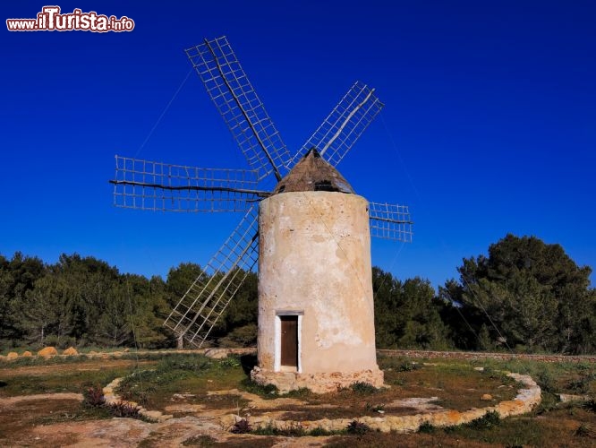 Immagine El Pilar de la Mola è un villaggio a est di Formentera (Baleari, Spagna), famoso per il suo faro in riva al mare, per il mercatino hippy e per le alte scogliere. E' a una decina di chilometri da Sant Ferran. Nella foto un vecchio mulino a vento nei pressi dell'abitato - © Karol Kozlowski / Shutterstock.com