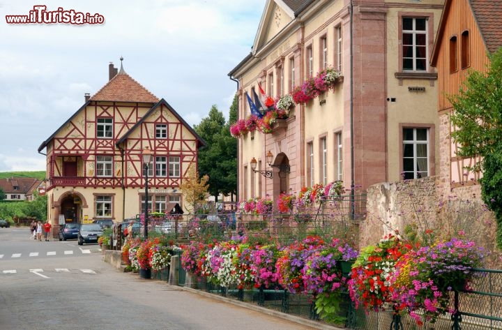 Immagine Municipio di Riquewihr, Alsazia - Nel centro storico della città si trova il palazzo municipale di Riquewihr racchiuso fra le suggestive case a graticcio tipiche di alcuni paesi dell'Alsazia. Ad accogliere cittadini o turisti che si recano in Municipio vi sono colorate composizioni floreali che ne abbelliscono l'ingresso © Vovez / Shutterstock.com