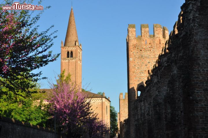 Immagine Dentro alla cinta muraria di Montagnana, lungo il fianco sud-orientale: il campanile appartiene alla chiesa di San Francesco