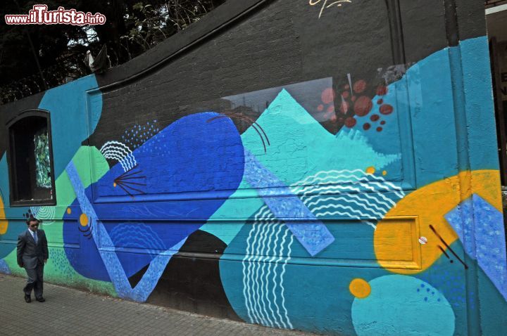 Immagine Murales a Bogotà, Colombia - Una delle tante decorazioni murali che si incontrano passeggiando per le vie della capitale colombiana dove tutte le forme artistiche, pittura e scultura, sono da sempre ben radicate nelle tradizioni locali © Sonja Vietto Ramus