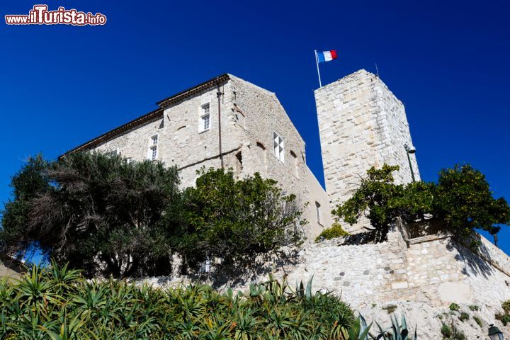 Immagine Museo Picasso di Antibes, Francia - Primo spazio museale al mondo ad essere dedicato interamente al grande artista spagnolo, il Museo Picasso è inserito nella bella cornice storica del castello Grimaldi. Il lascito del maestro ad Antibes è enorme: a spiccare sono soprattutto la Joie de vivre, Donna con ricci di mare, Satiro e La Capra. Negli anni '40 al secondo piano riuscì a crearvi anche un atelier artistico che adibì a studio dove creò molti dei suoi capolavori © anshar / Shutterstock.com