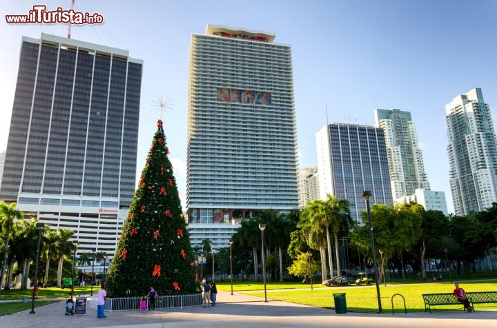 Immagine Natale a Miami: le vacanze di Natale in Florida si trascorrono sulla spiaggia con temperature estive. Molti ricchi pensionati nordamericani, infatti, durante l'inverno si trasferiscono in Florida per evitare il freddo - Foto © Alexey Rotanov / Shutterstock.com