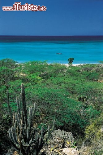 Immagine Natura e mare a Barahona, la splendida località di villeggiatura in Repubblica Dominicana - © Dominican Repubblic Ministry of Tourism