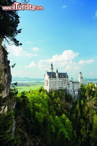 Immagine Neuschwanstein, il castello della Baviera reso immortale dalla follia di Re Ludwing si trova vicino a Fussen, in Baviera - © Francesco Carucci / Shutterstock.com