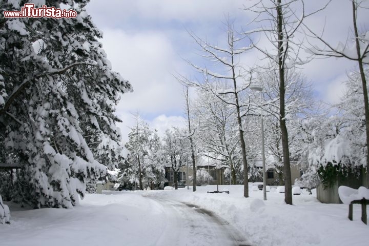 Immagine Panorama invernale su Basilea, Svizzera - Ogni stagione dell'anno è buona per visitare questa città svizzera che si adagia sulle rive del Reno e sorge vicino al confine con Francia e Germania. L'aria tiepida in inverno lascia spazio al vento frizzante che porta con sè un carico di soffice neve che ricopre strade, palazzi e parchi  © Michail Kabakovitch / shutterstock.com