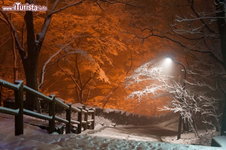 Immagine Nevicata a Seoul nel Parco di Namsan Tower. Il clima di Seul in inverno è particolarmente freddo, e risente della vicinanza della Korea alla Cina continentale ed alla siberia. L'anticiclone russo può convogliare intense discese di aria artica con copiose nevicate e temperature di parecchi gradi sottozero - © Maxim Tupikov / Shutterstock.com