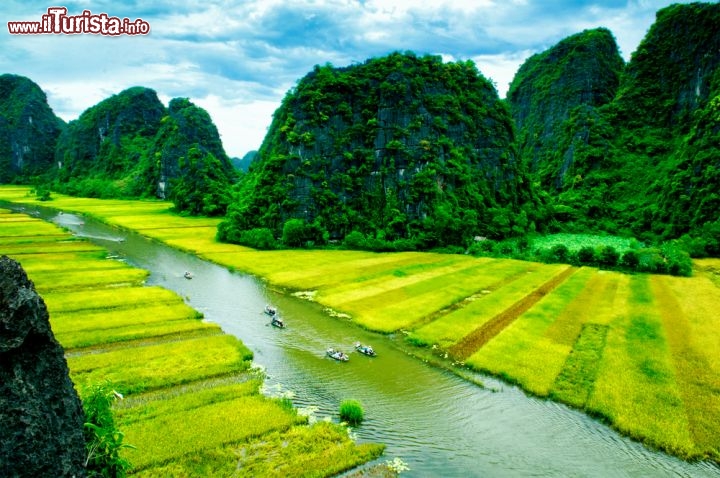 Immagine NinhBinh campi di riso in Vietnam - © Cristal Tran / Shutterstock.com
