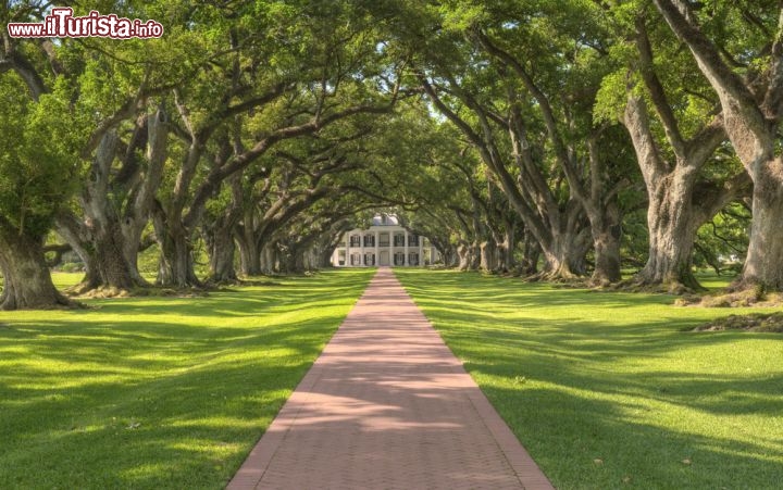 Immagine Oak Alley Plantation, New Olreans - Fondata dai Roman, una famiglia francese di coloni che nel 1840 fecero edificare anche la grandiosa casa patronale, Oak Alley Plantation è una grande tenuta dove un tempo sorgevano piantagioni di canna da zucchero. Il lungo viale alberato con querce, che pare abbiano circa 300 anni e quindi antecedenti alla costruzione dell'edificio principale voluta da  J.Telesphore Roman, accompagna alla scoperta della vita di quel tempo. Nonostante sia stata restaurata e ospiti ricordi e testimonianze delle difficili condizioni di vita degli schiavi neri, Oak Alley è uno dei tour da non perdere durante un soggiorno a New Orleans - © Jim Vallee / Shutterstock.com