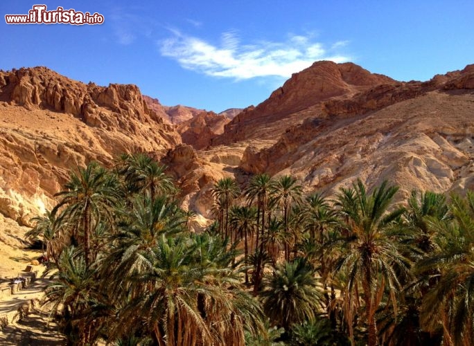 Immagine Oasi di Chebika, tra le colorate montagne della Tunisia  - © www.tunisiaturismo.it