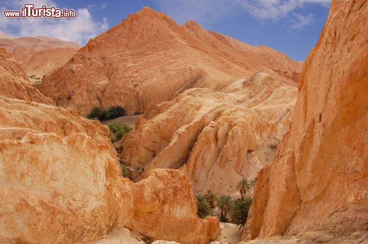 Immagine Oasi di Chebika: è una delle più famose vene d'acqua nelle desertiche montagne della Tunisa tra le propaggini della catena dell'Atlante, nella regione di Tozeur - © Evgeniapp / Shutterstock.com