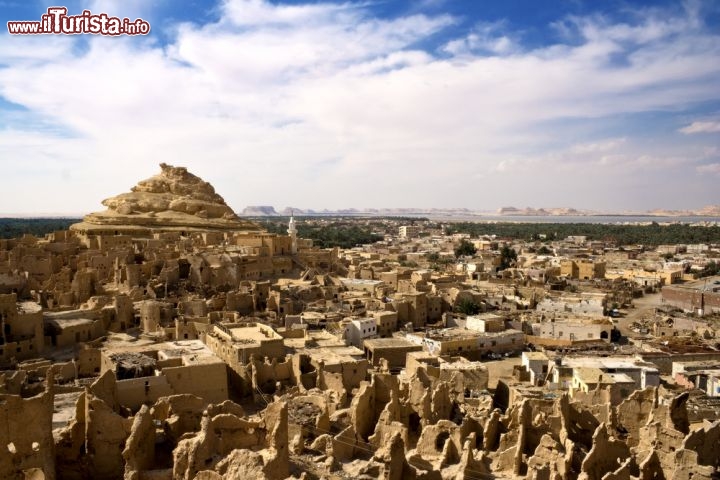 Immagine Oasi di Siwa: si trova nel deserto del Sahara in Egitto, anche se viene chiamato il deserto libico. Si trova in una depressione, che quindi consente alla falda acquifera di sgorgare liberamente - © Bzzuspajk/ Shutterstock.com