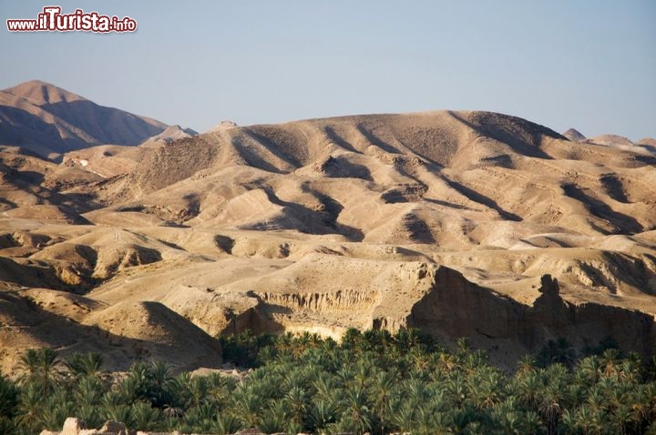 Immagine L'Oasi di Tamerza si trova sulle montagne di Tozeur, nella Tunisia sud-occidentale - © Mauro Pezzotta / Shutterstock.com