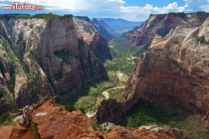 Immagine L'Observation Point del Zion National Park (Utah, USA) è un belvedere sensazionale. Il sentiero per raggiungerlo è piuttosto lungo... ma la veduta finale ripaga ampiamente la fatica, con un'apertura mozzafiato sulla valle sottostante, gli argini lussureggianti, le pareti rocciose a strapiombo e le montagne a perdita d'occhio sullo sfondo - © fabernova / Shutterstock.com