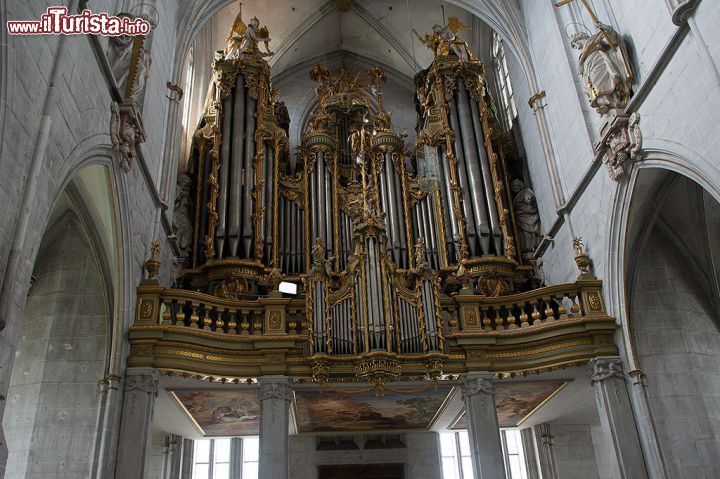 Immagine Organo della cattedrale di Salem nel Baden Wurttemberg in Germania