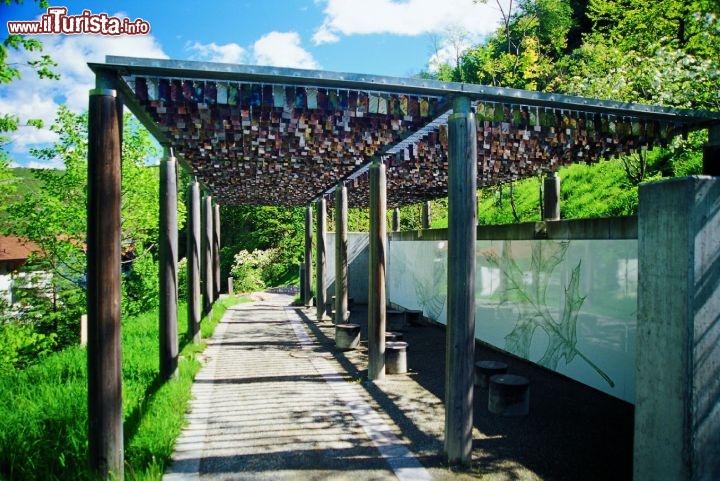 Immagine Padiglione Boschi Decidui Latifoglie Giardini di Sissi a Merano 000 - cortesia foto www.trauttmansdorff.it