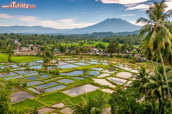 Le foto di cosa vedere e visitare a Sumatra