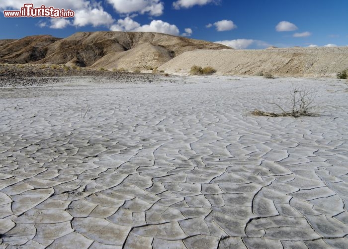 Immagine Paesaggio Arizona deserto del Mojave Stati Uniti d'America 