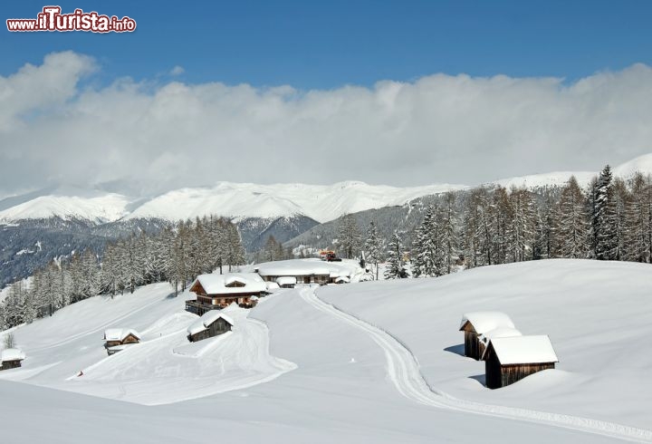 Immagine Paesaggio delle Dolomiti di Sesto in Alta Pusteria (Trentino). Qui ci sono ottime possibilità per praticare lo sci di fondo - © pecold / Shutterstock.com