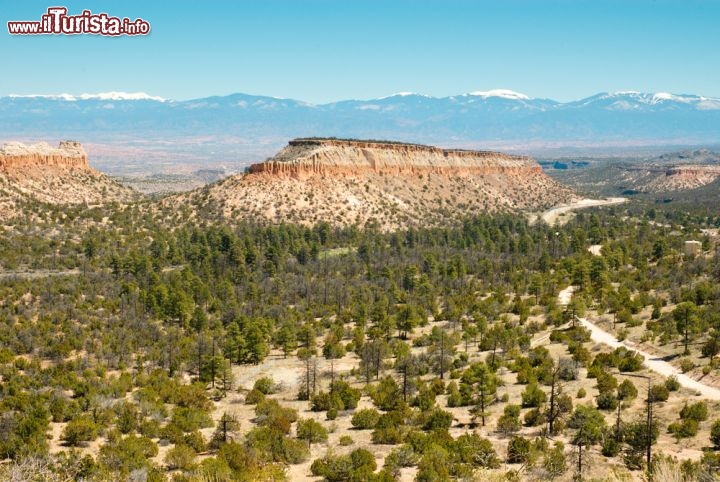 Immagine Paesaggio del New Mexico: ci troviamo nella regione di Los Alamos, dove avvenne la prima esplosione nucleare della storia degli USA  - © Zack Frank / Shutterstock.com