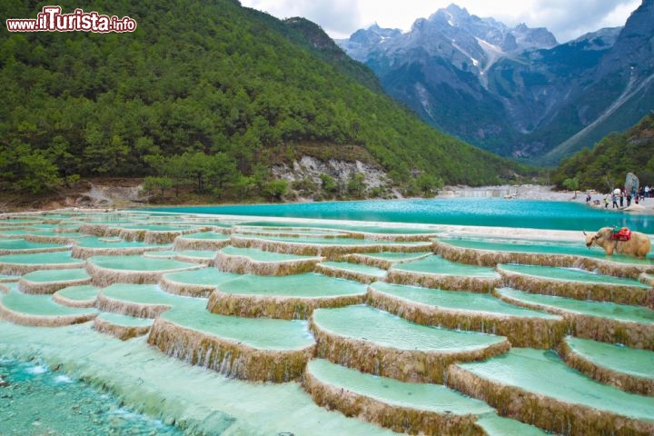 Immagine Paesaggio a Lijiang vicino alla Montagna del Drago di Giada (CIna) - © Calvin Chan / Shutterstock.com